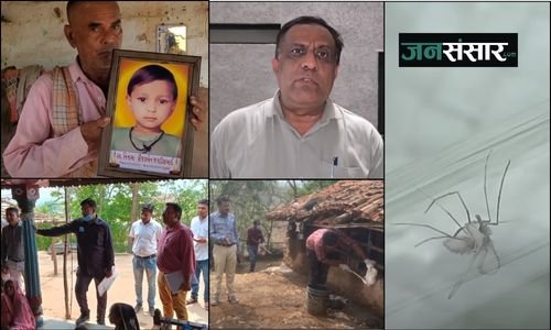 Chandipura Virus: Cases of Infection in Gujarat and Prevention Measures