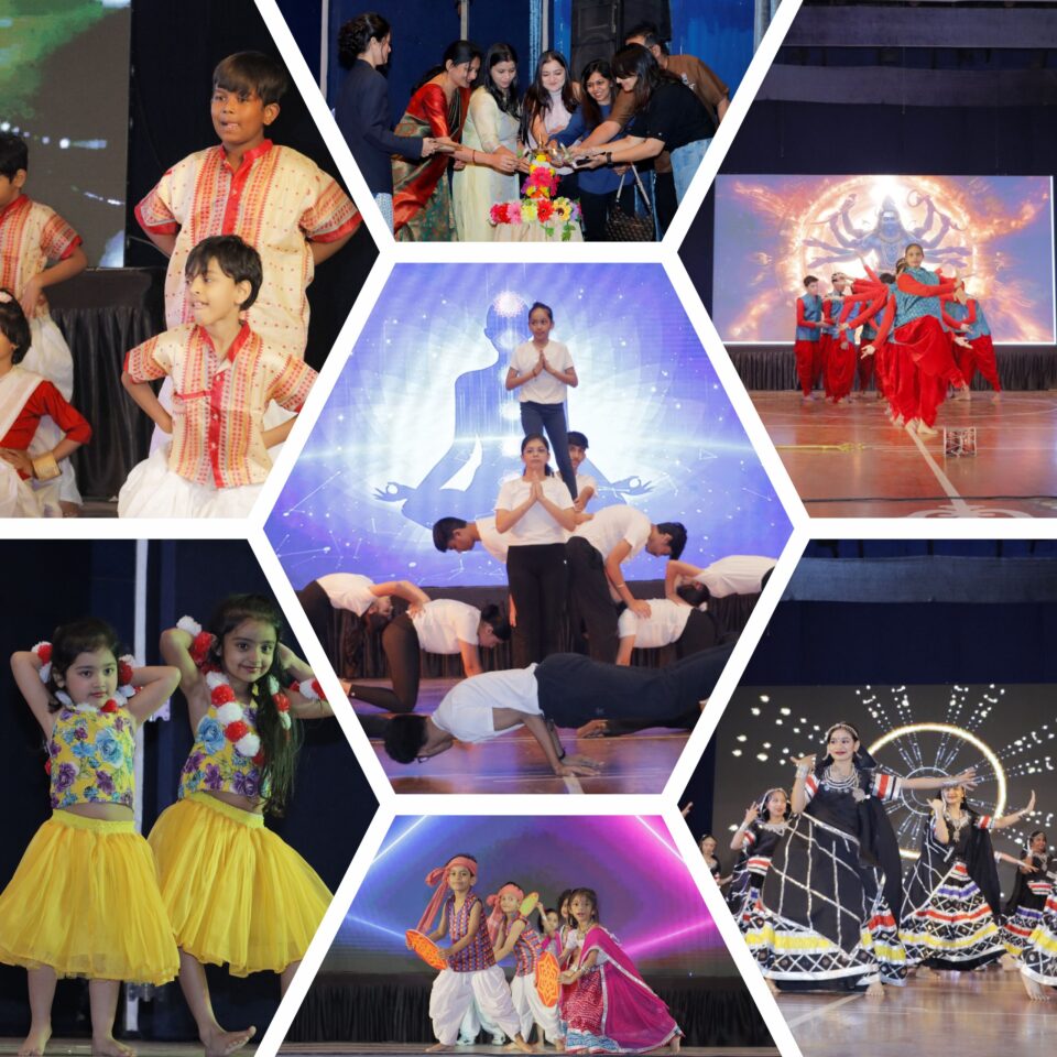 White Lotus International School