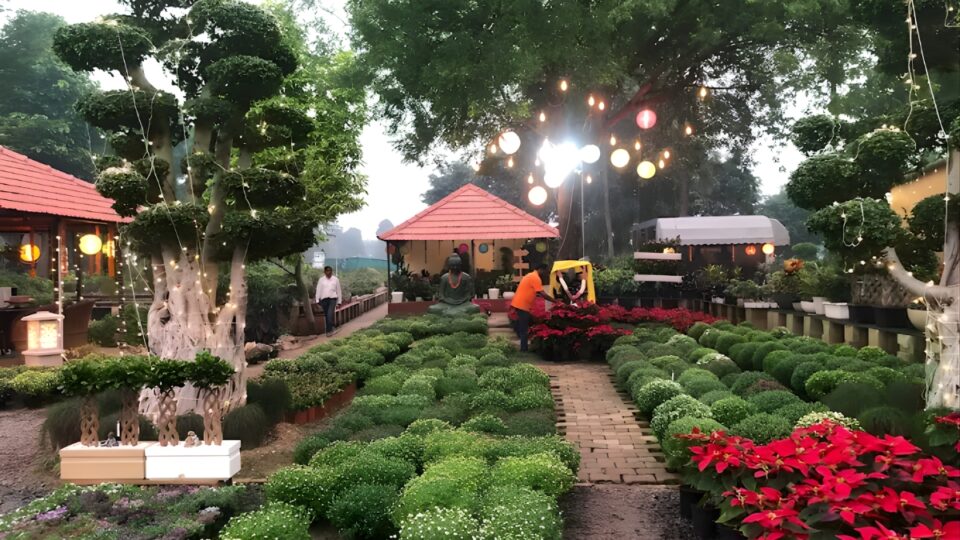 ग्रीनवेज नर्सरी - हरियाली की मिसाल